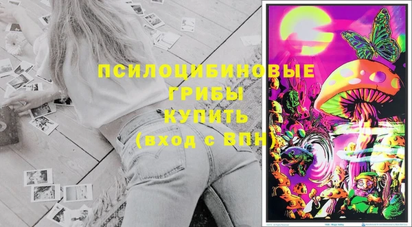 дживик Володарск