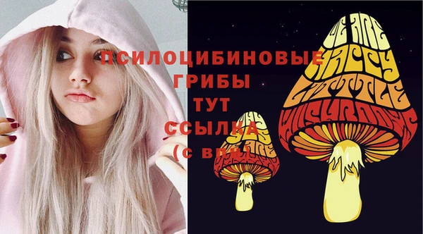МДПВ Горняк