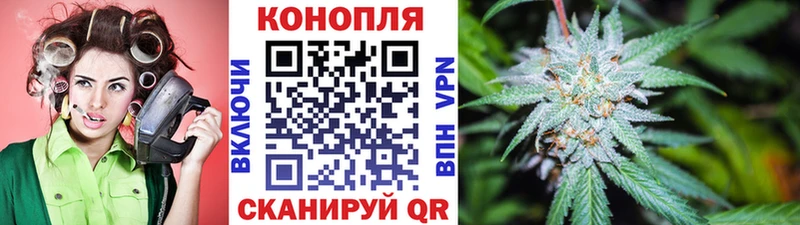 где найти наркотики  Емва  Бошки марихуана VHQ 